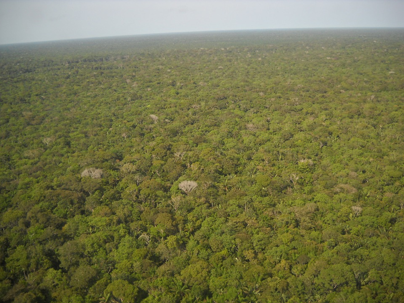 Illustration for article titled Esta región del Amazonas albergó una compleja civilización perdida de la que no se sabía nada hasta ahora